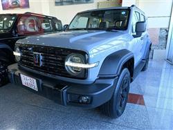 Great Wall 300